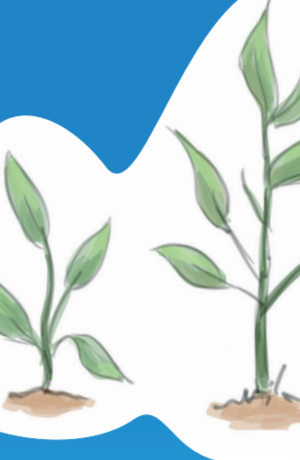 Gids voor het ontwikkelen van traumasensitieve organisaties